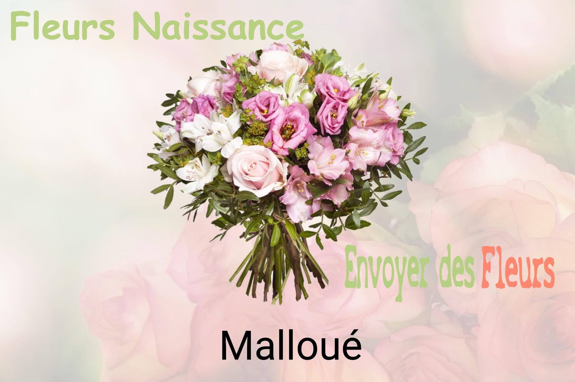 Bouquet de fleurs de naissance livré à Malloué